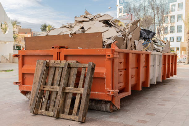 Best Same-Day Junk Removal Services  in North Fork, AZ